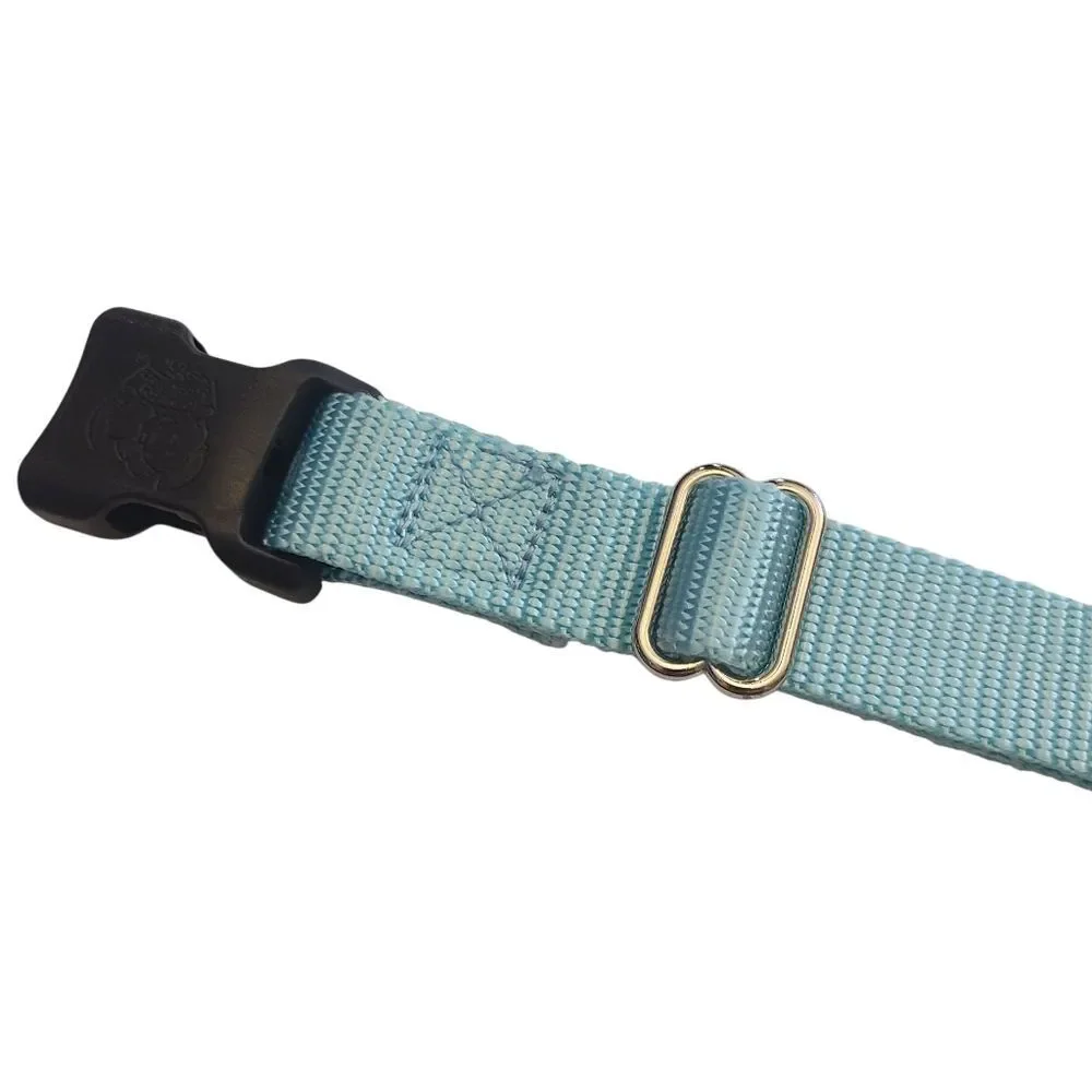 Country Brook Petz Dog Collar Size Large Soft Teal‎ 20